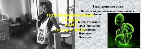 мяу мяу мука Алзамай