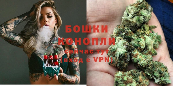 гидра Алексеевка