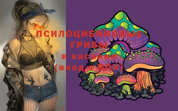 гидра Алексеевка