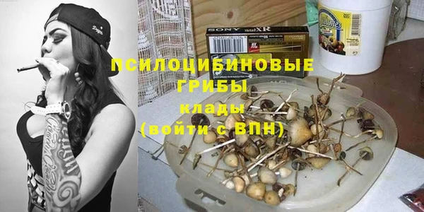 гидра Алексеевка