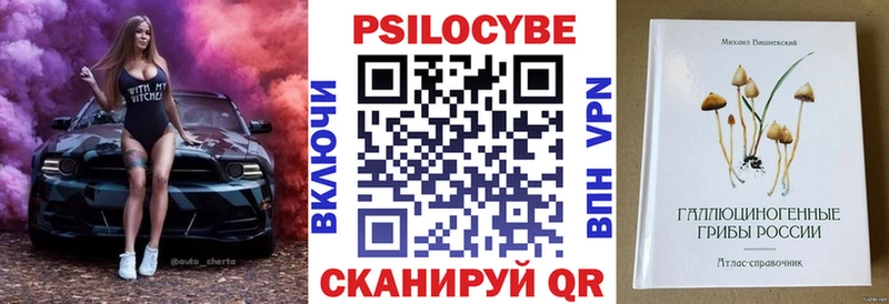 магазин продажи наркотиков  Камбарка  Псилоцибиновые грибы прущие грибы 
